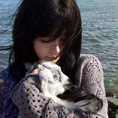 笑弹龙虎榜
